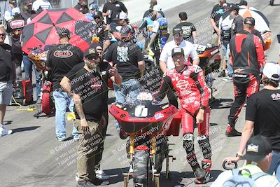media/Apr-26-2025-BRL Bagger Racing League (Sat) [[9e270f465f]]/9-Bagger GP and Pro Stock Race/